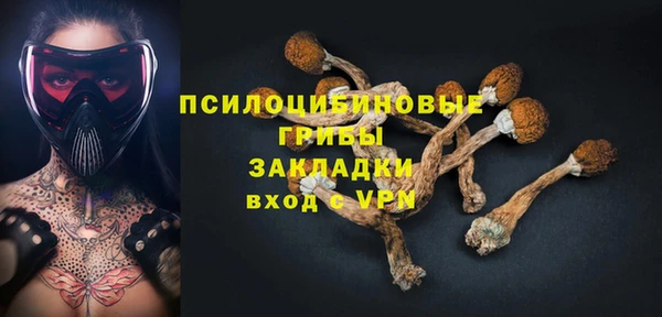 СК Алексин