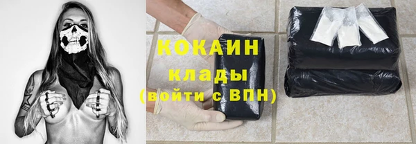 СК Алексин