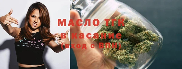 СК Алексин