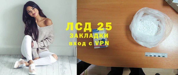 СК Алексин