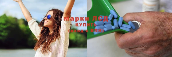 СК Алексин