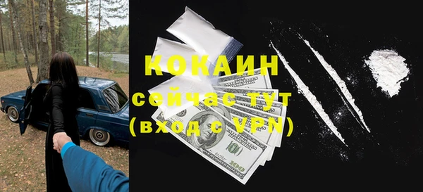 СК Алексин