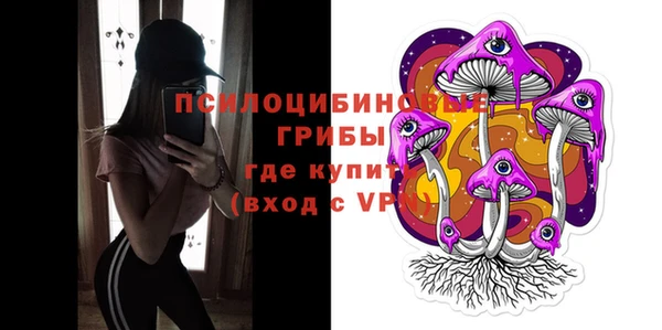 СК Алексин