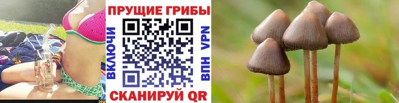 Галлюциногенные грибы Cubensis  Оса 